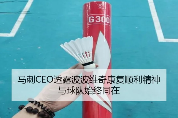 马刺CEO透露波波维奇康复顺利精神与球队始终同在